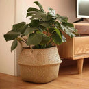 Woven Seagrass  Basket Wicker Baskets Storage Plant Pot for Storage Plant Pot Basket and Laundry Picnic and Grocery Basket