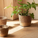 Natural Handmade Straw Weaving Wicker Basket Rattan Straw Flower Plant Pot Round Flowerpot Storage Basket Planter Basket