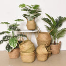 Woven Seagrass  Basket Wicker Baskets Storage Plant Pot for Storage Plant Pot Basket and Laundry Picnic and Grocery Basket